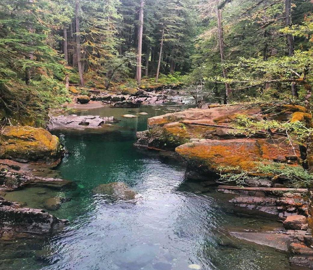 Packwood Ski & Vacation Getaway Экстерьер фото