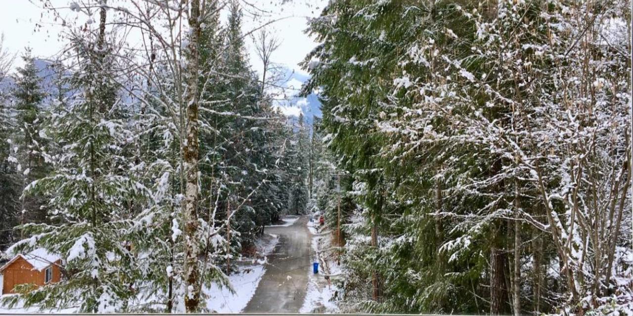 Packwood Ski & Vacation Getaway Экстерьер фото